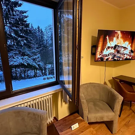 Boutique Am Kranichsee 4* 戈斯拉尔