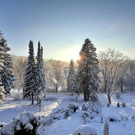 Boutique Am Kranichsee Hotell Goslar