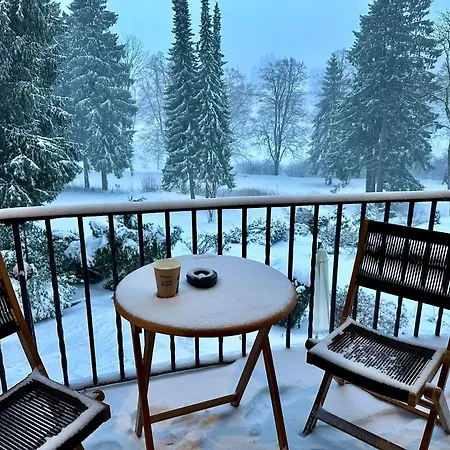 酒店 Boutique Am Kranichsee 戈斯拉尔