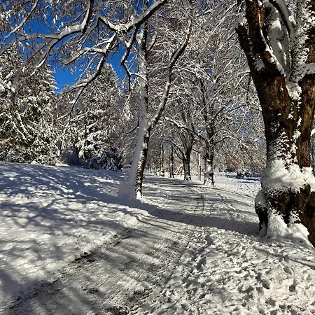 Boutique Am Kranichsee 酒店 戈斯拉尔