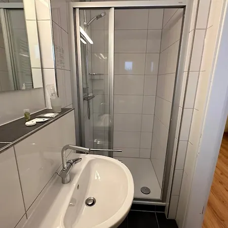 酒店 Boutique Am Kranichsee 戈斯拉尔