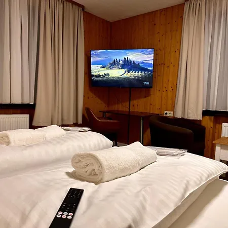 Boutique Am Kranichsee 4* 戈斯拉尔