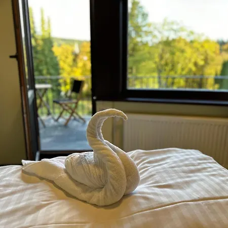 Boutique Am Kranichsee Hotell Goslar